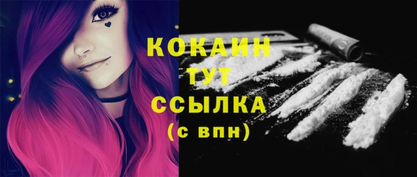 твердый Аркадак