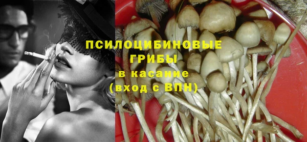 твердый Аркадак