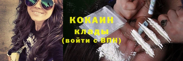 твердый Аркадак