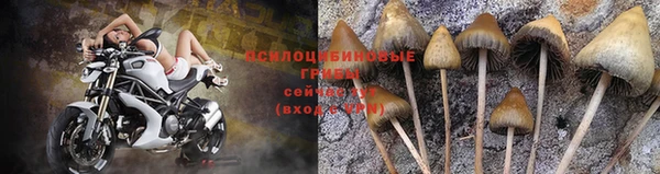 соль ск Покров